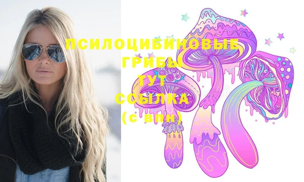 мдпв Шали
